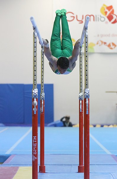 File:2019-11-30 OHC Liberec 2019 MAG Apparatus finals Parallel bars (Martin Rulsch) 176.jpg