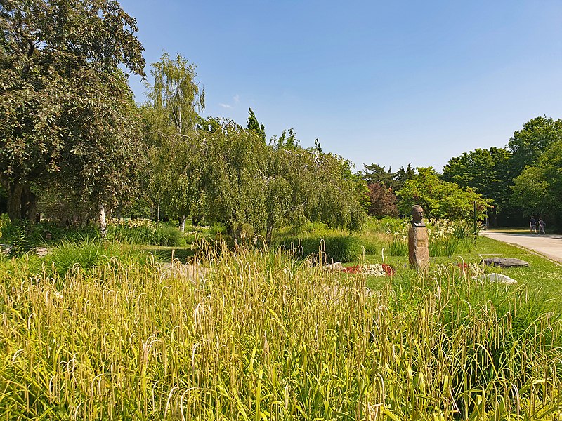 File:20210620 Donaupark Heidegarten 01.jpg