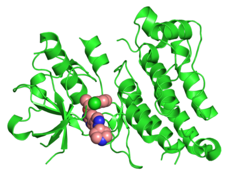 Kinase du lymphome anaplasique