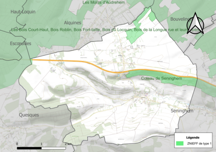 Carte de la ZNIEFF de type 1 sur la commune.