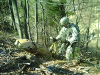 High-angle mountain CASEVAC training, at the U.S. Army Mountain Warfare School in Jericho, Vermont AMWS high-angle CASEVAC training.png