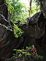 A cave temple deep in the bush above Saiyok Noi waterfall (50146656551).jpg