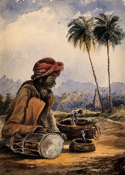 File:A snake charmer from Poonah, India. Watercolour, 1873. Wellcome V0015988.jpg