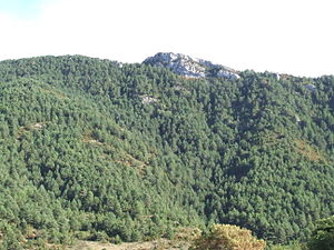 La Roca Alta