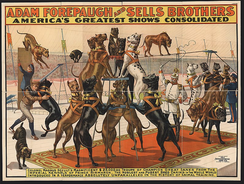 File:Adam Forepaugh and Sells Brothers America's greatest shows consolidated-Colonel Magnus Schult's magnificent $25,000,00 (sic) troupe of champion great danes from the imperial kennels of LCCN2014649012.jpg