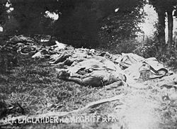 A German propaganda postcard showing dead "English" soldiers (according to the German caption) arranged in a wooded area near Fromelles just after the battle of 19-20 July 1916. The Australian War Memorial notes that many of the soldiers are already covered with groundsheets: eyelets from groundsheets (used to lower the bodies into the deep graves) were recovered from the Pheasant Wood site. Allied dead at Fromelles, 1916.jpg