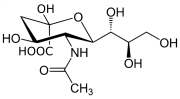 Vignette pour Acide N-acétylneuraminique