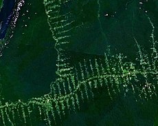 Deforestation and increased road-building in the Amazon Rainforest are a significant concern because of increased human encroachment upon wild areas, increased resource extraction and further threats to biodiversity. Amazonie deforestation.jpg