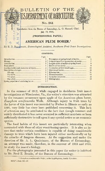 File:American plum borer (IA americanplumbore261blak).pdf