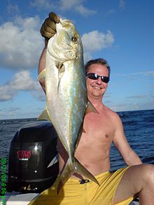 A Yellow Jack caught by a recreational fisherman Andre yellow jack.jpg