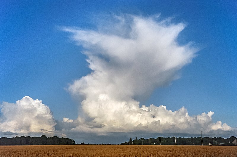 File:Anvil cloud over the fields of Martebo, Gotland.jpg