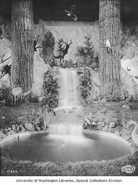 File:Artifical waterfall scene with deer and birds, Forestry Building, Alaska-Yukon-Pacific-Exposition, Seattle, Washington, 1909 (AYP 1108).jpeg