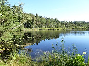 Åstebotjärnen från W den 1 augusti 2020.