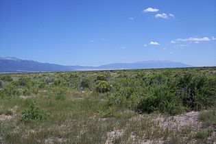 rangeland with Sarcobatus spec. and Chrysothamnus nauseosus