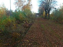 Ehemaliger Bahnsteig an einem Gleis, das von der Strecke von Seesen abzweigte (2015)