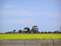 Bairnsdale Airport