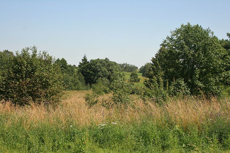 File:Belarus-Poland border 03.jpg