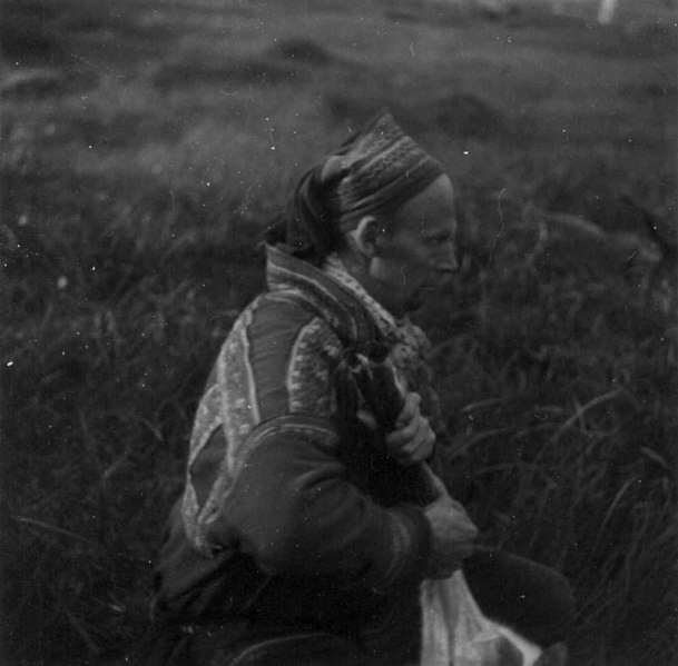 File:Bellingsskinnet taes av et reinsdyr etter slakting. Kvænangsfjell 1954 - Norsk folkemuseum - NF.05328-059.jpg
