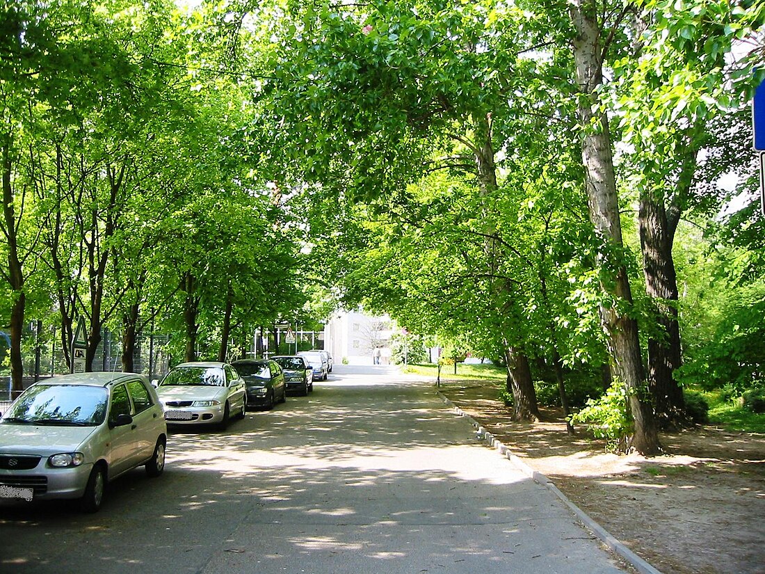 File:Berlin-Friedrichshain Mehlbeerenweg.jpg