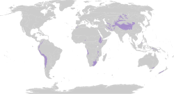 Extent of montane grasslands and shrublands Biome map 10.svg