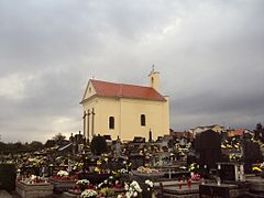 Bjelovar: Historija, Stanovništvo, Galerija