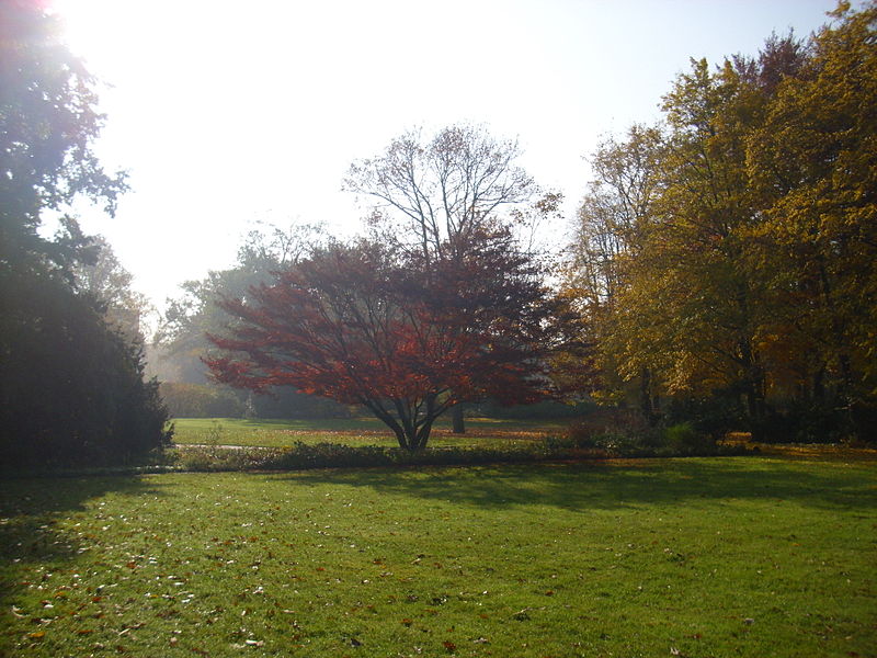 File:BlechenPark.JPG