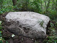 Roche basse du Mulot sur la rive droite du ruisseau du Gras en bordure du chemin du Neufmont.