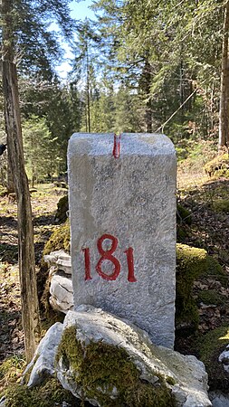 181 (plus de photos)