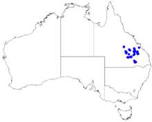 Boronia odorata DistMap84.png