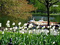 Boston Public Garden