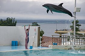 のとじま水族館