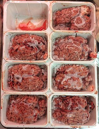 <span class="mw-page-title-main">Beef brain</span> Cattle brain as food