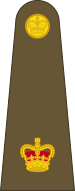 File:British Army OF-3.svg