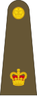 British Army OF-3.svg