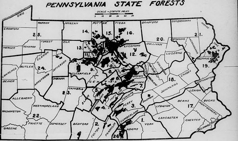 File:Bulletin (Pennsylvania Department of Forestry), no. 20-24 (1901) (19878171344).jpg