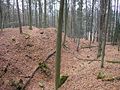 Medieval castle stables "Gutenfels"