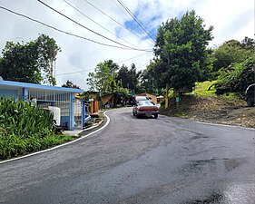 Puerto Rico Highway 809 south in Cedro Arriba, Naranjito