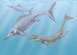 Ichthyosauria: Definitie, Indeling, Evolutie