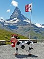 Cervin Switzerland.jpg