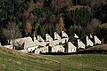 La chartreuse du Reposoir vue du dessus