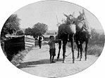 Thumbnail for File:Child leading mules on D &amp; H canal.jpg