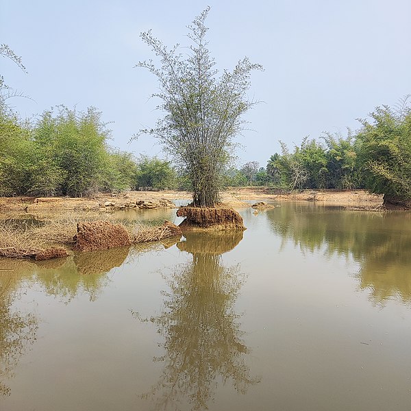 File:Clay mining.jpg