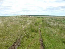 Cnoc-glas di Ca-na-Catanach - geograph.org.inggris - 882005.jpg