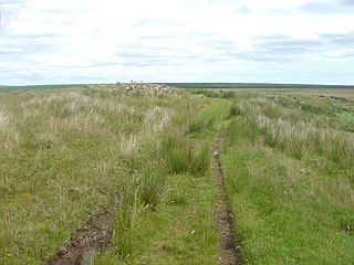 <span class="mw-page-title-main">Ca na Catanach</span> Historic road and footpath through the Scottish Highlands
