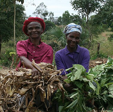Farmers with composting materials in Malawi