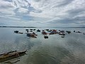 * Nomination: Fishing boats in Cordova, Cebu --MartinMichlmayr 00:11, 9 May 2022 (UTC) * * Review needed