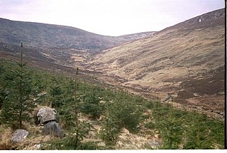 <span class="mw-page-title-main">Corrigasleggaun</span> Mountain in Wicklow, Ireland