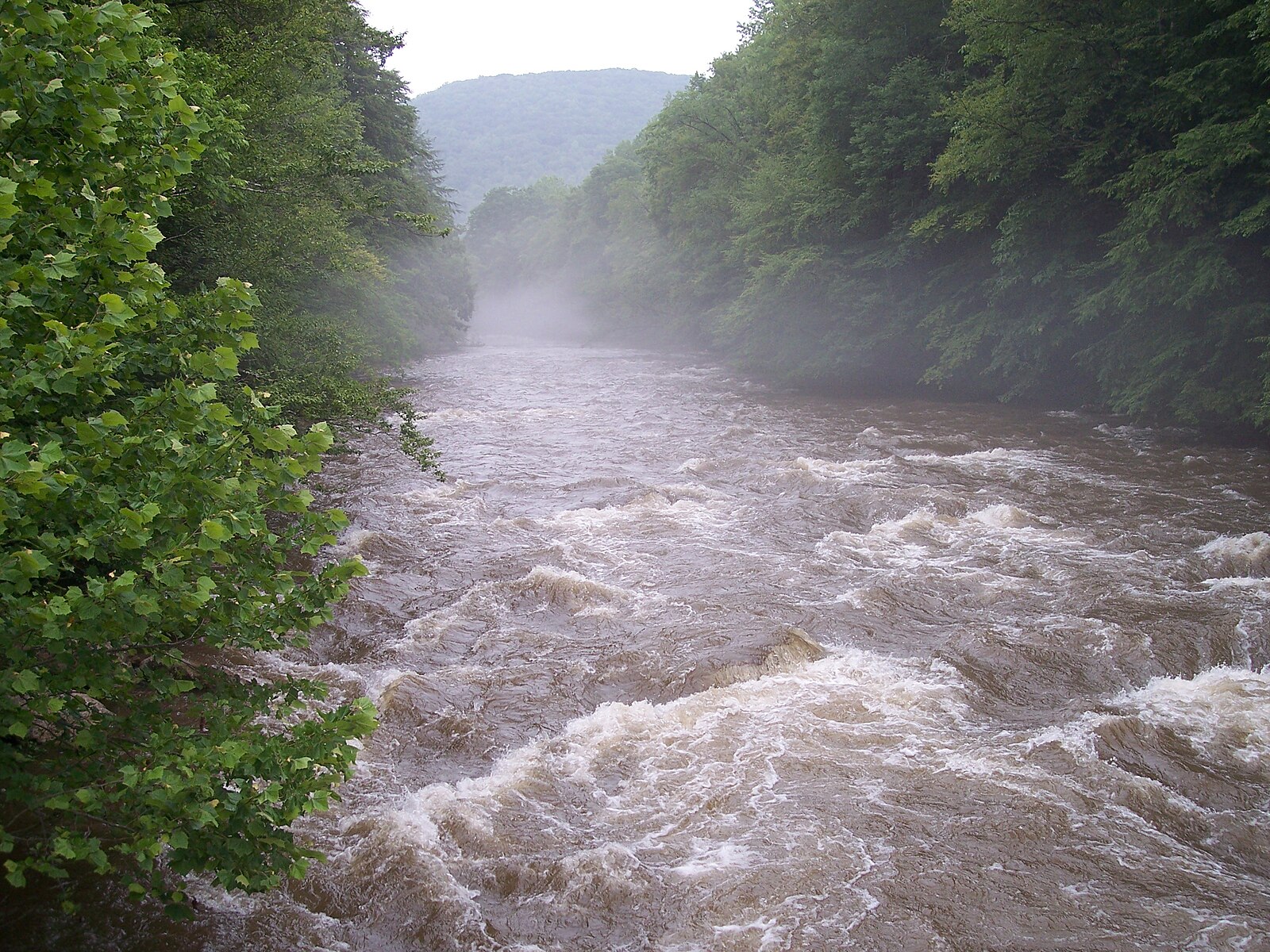 West river. Вест Ривер река. Мононгахила, Западная Вирджиния,. Река Западный Пшарт. Клюква в реке.