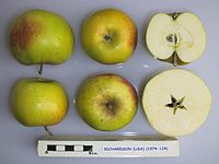 Cross section of Richardson (USA), National Fruit Collection (acc. 1974-124) .jpg