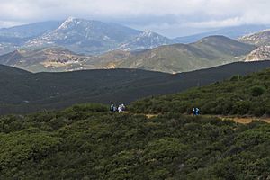 Cuyamaca Mountains